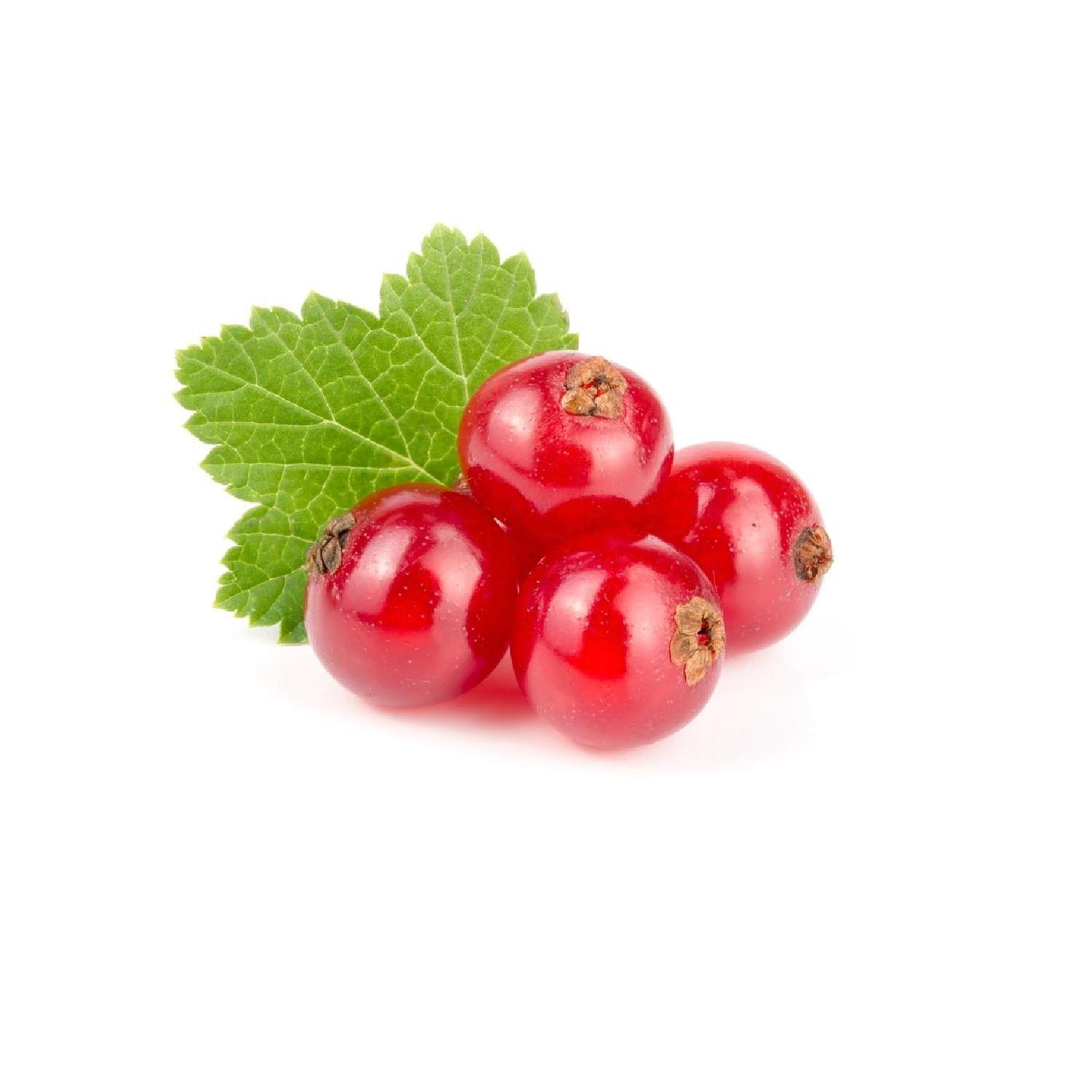 Ribizle 125g