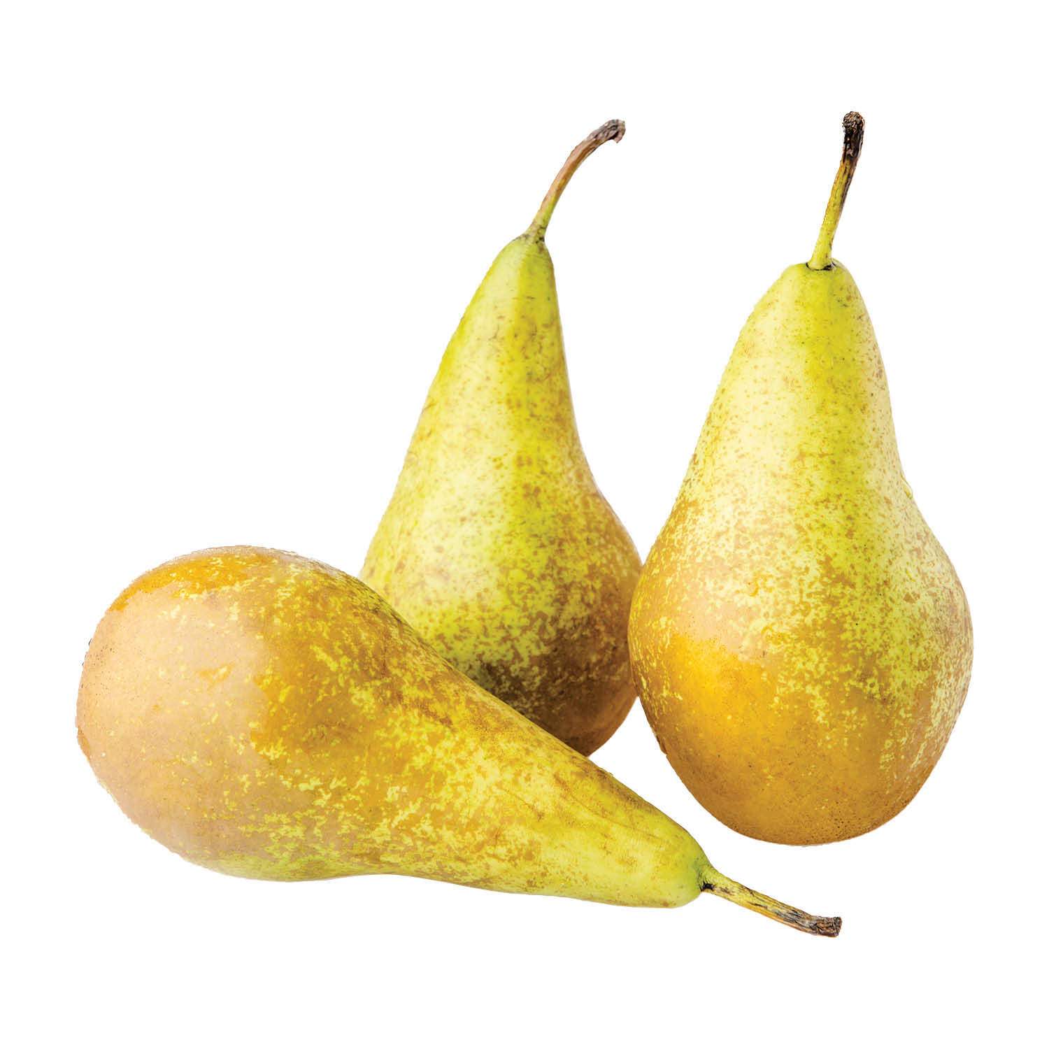 Kruske konferens 1kg