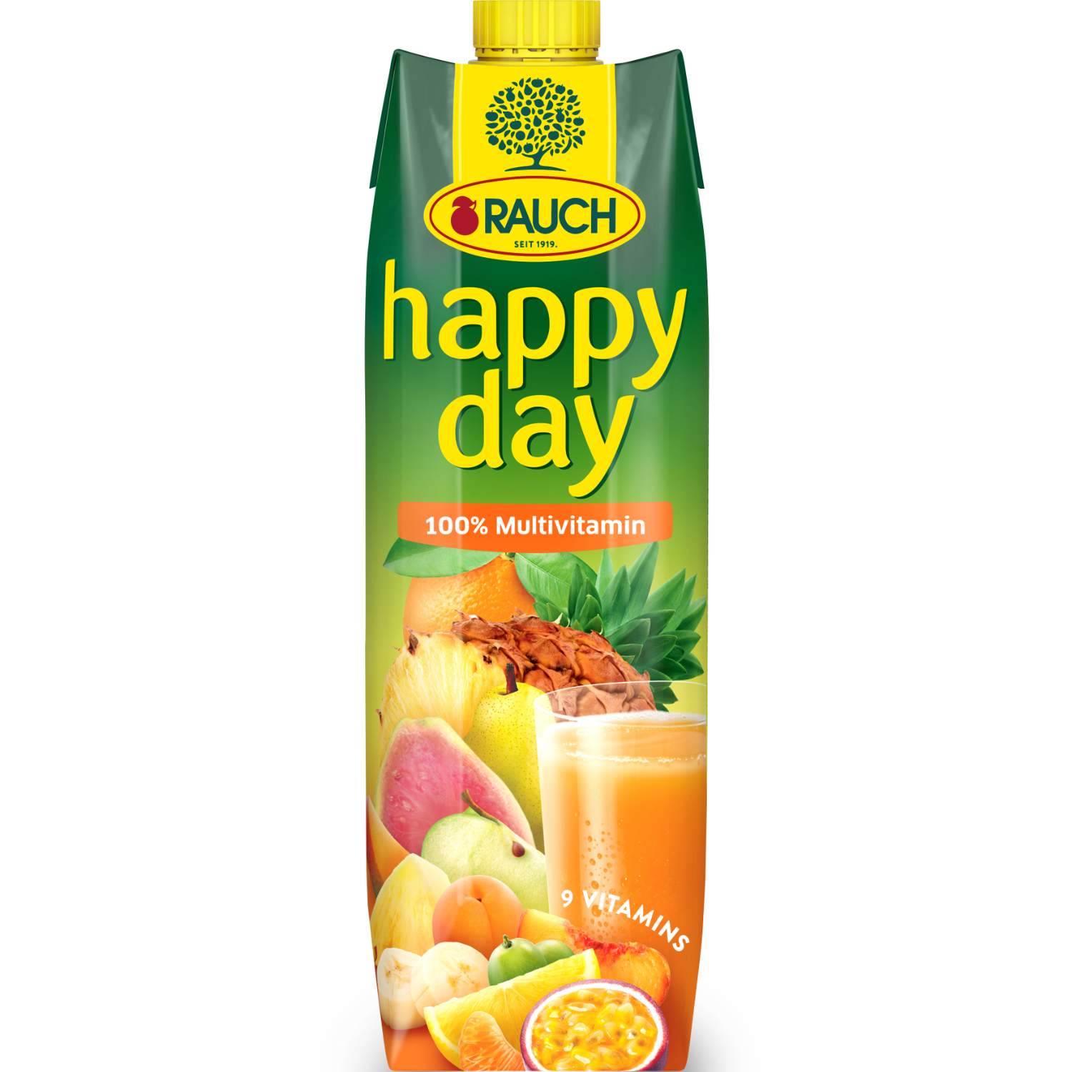 Rauch Voćni sok Happy Day multivitamin 9 vitamins 1l